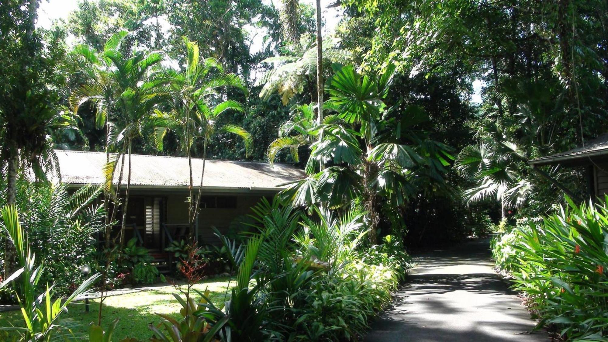 Heritage Lodge - In The Daintree Exteriör bild