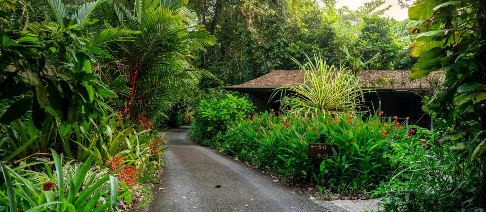 Heritage Lodge - In The Daintree Exteriör bild
