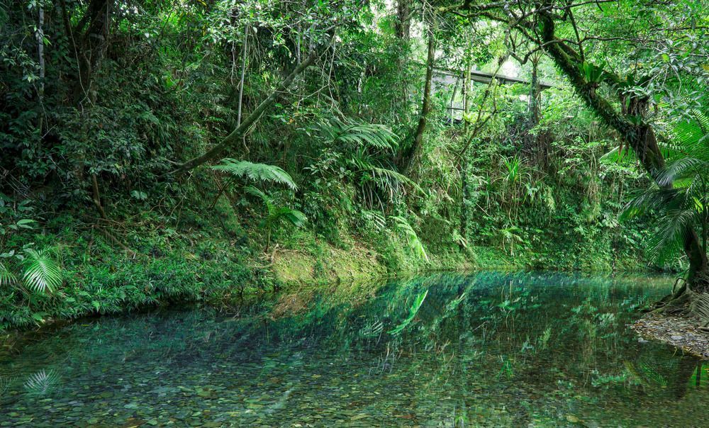 Heritage Lodge - In The Daintree Exteriör bild