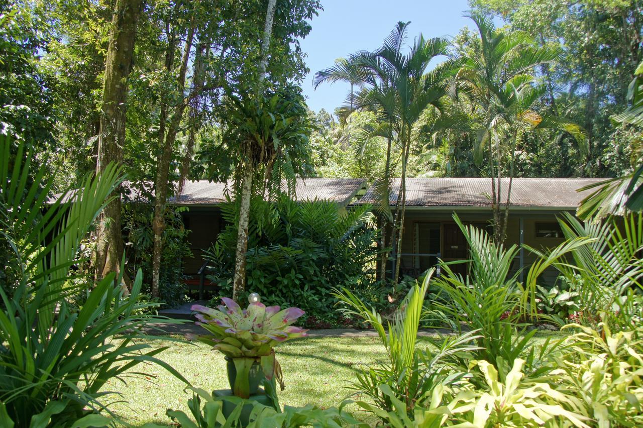 Heritage Lodge - In The Daintree Exteriör bild