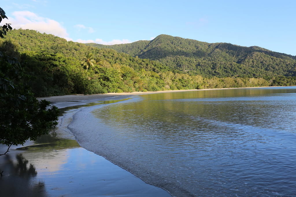 Heritage Lodge - In The Daintree Exteriör bild