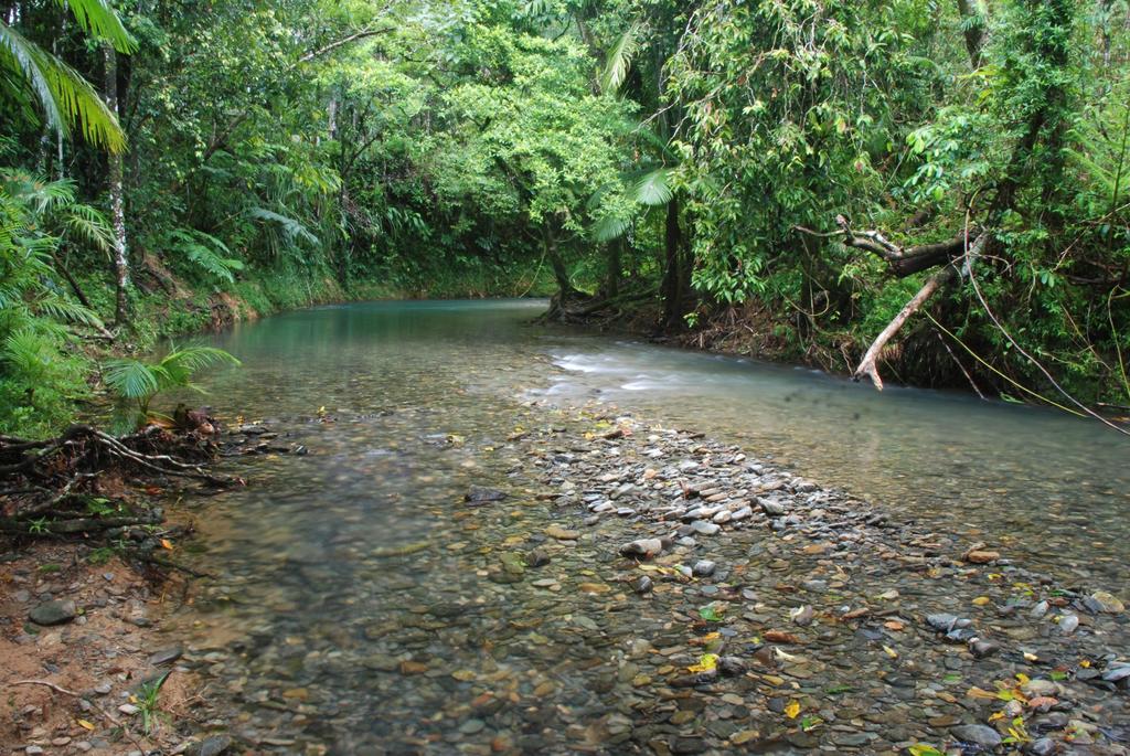 Heritage Lodge - In The Daintree Exteriör bild